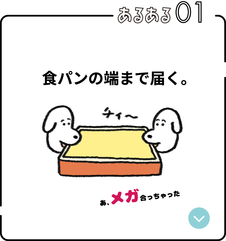 あるある01：食パンの端まで届く。